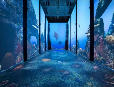 Museo Oceanografico - Monaco